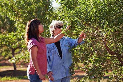 Nutrient Management in the orchard