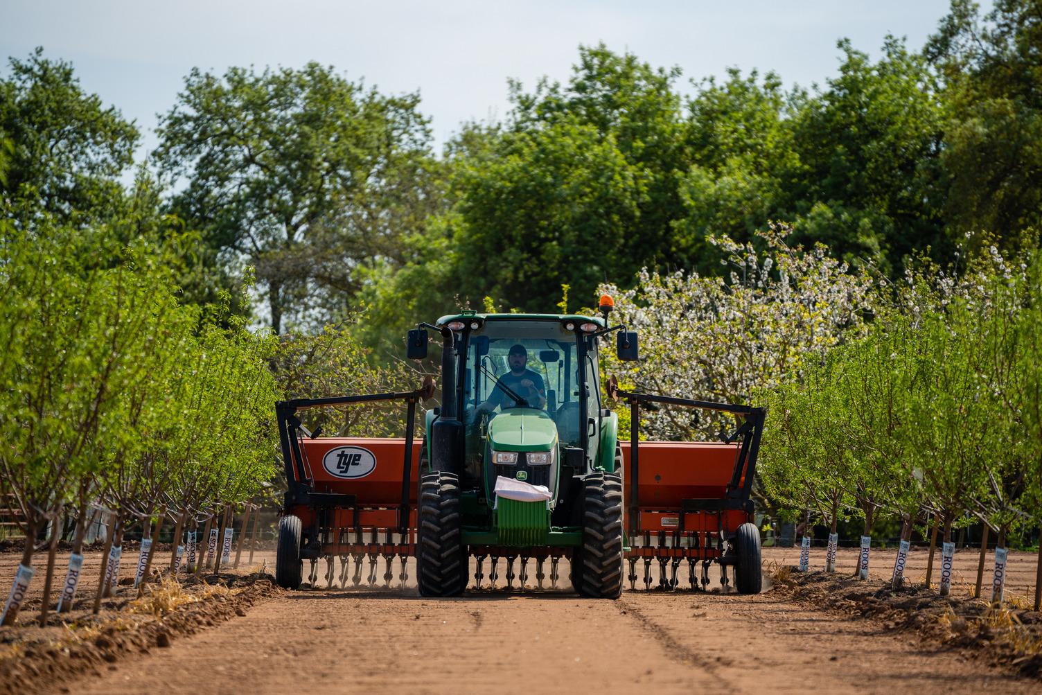 5 Myth-Busting Facts About Almonds You Need to Know