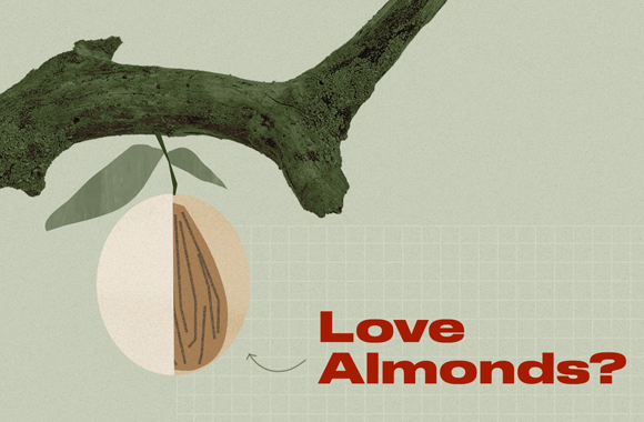 How Almond Farmers are Pioneering Sustainability in California